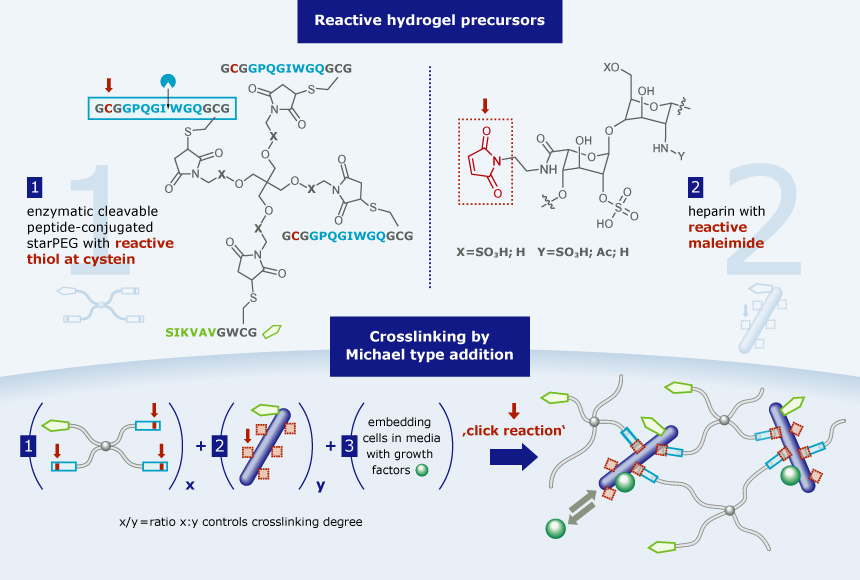 Reactive hydrogel precursors