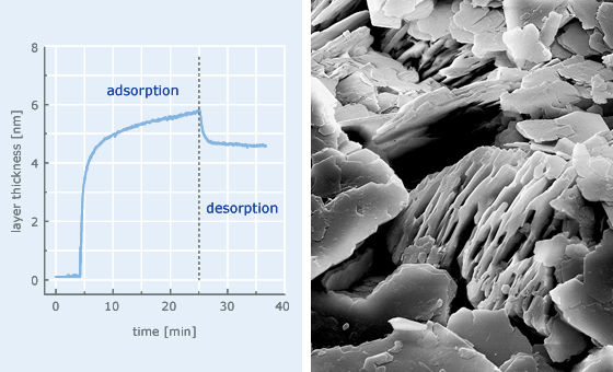 Detergents at interfaces