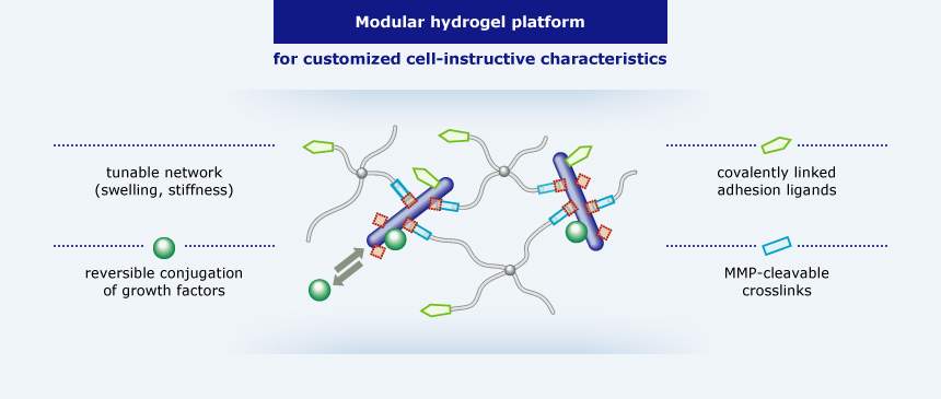 Modular hydrogel platform